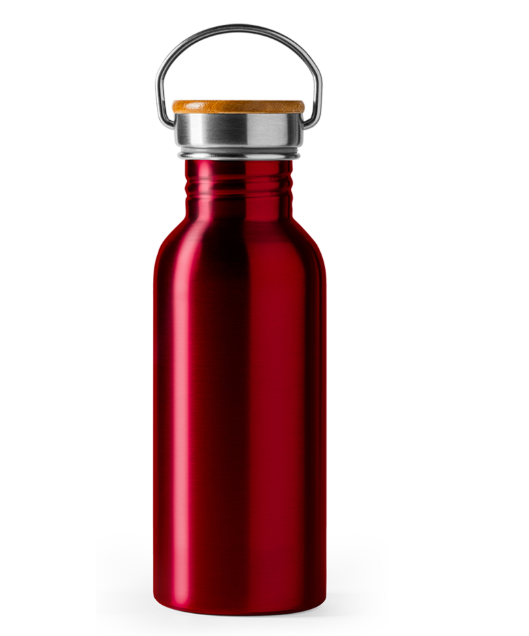 Botella Boina inox