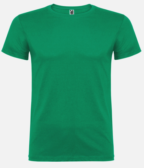 Camiseta Verde Huelga