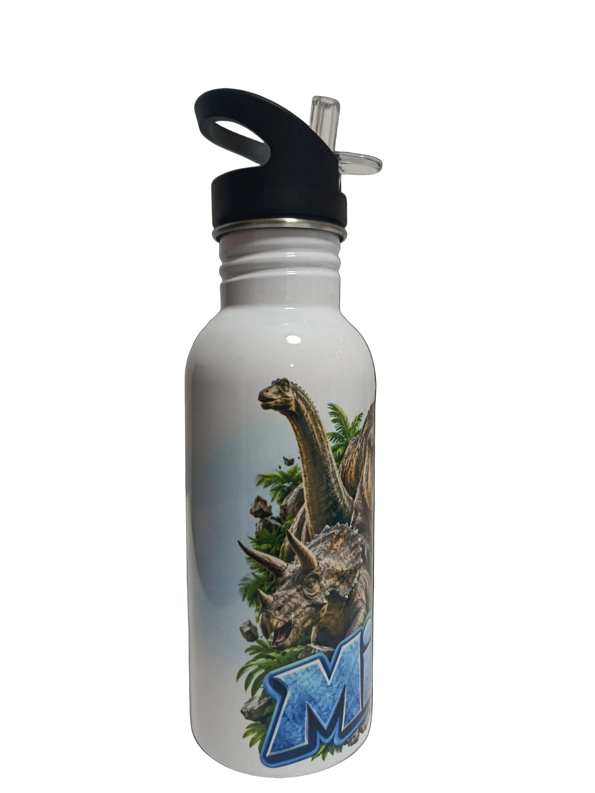 BOTELLA BIDON PAJITA